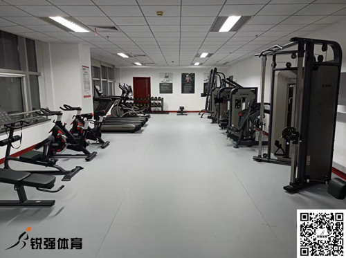 济南某集团采购的leyu.乐鱼体育提供的健身器材