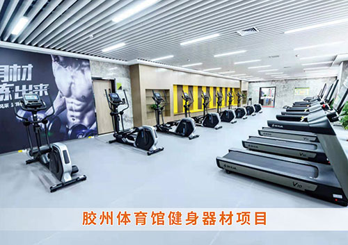 ​leyu.乐鱼体育为胶州体育馆打造的健身房