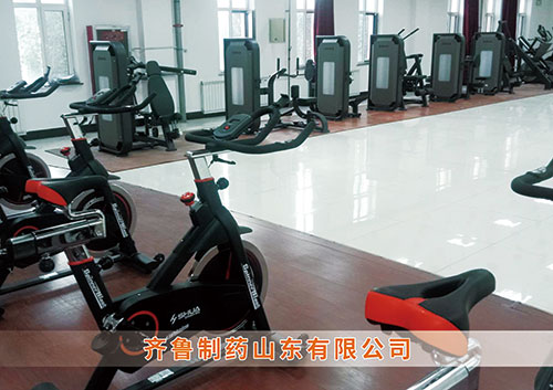 ​leyu.乐鱼体育为齐鲁制药呼和浩特分公司打造健身房